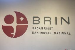 BRIN helping start-ups reach the market