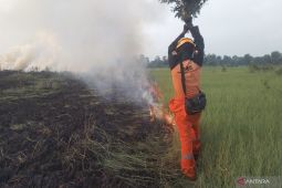BPBD Kalsel padamkan karhutla area Bandara Syamsudin Noor