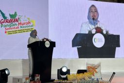 Harga beras nasional diharapkan turun 0,15 persen, ini alasannya