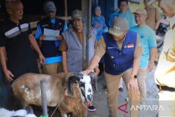 Wali Kota Sukabumi tinjau langsung penjualan hewan kurban