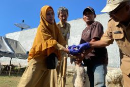 DKPPP Kota Probolinggo temukan hewan kurban sakit