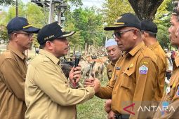 Pidie Jaya salurkan 222 ekor hewan kurban untuk warga hingga pesantren