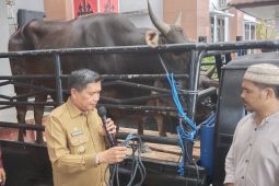 Pemkot Ambon serahkan 70 hewan kurban kepada warga