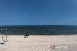 Pemkab Garut fasilitasi nelayan untuk hasilkan lobster tangkapan