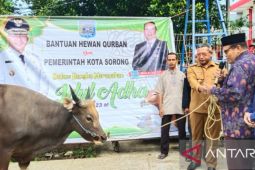 Pemerintah Kota Sorong sumbang 30 sapi kurban
