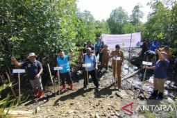 Pemkot Sorong gandeng PLN tanam 5 ribu anakan mangrove