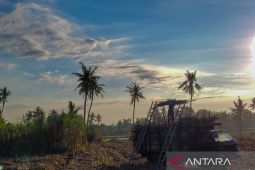 PG Assembagoes Situbondo giling tebu capai 150 ribu ton