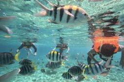 Objek wisata laut tutup sementara saat Idul Adha