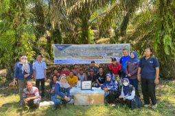 Potensi pengembangan program Siska di Kalbar capai 2,9 juta ekor sapi