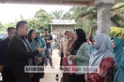 Bapanas bawa angin segar untuk permasalahan stunting di Babel