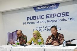 Pendapatan kurang memuaskan, Diamondland kerahkan agen properti