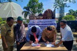 Sapi kurban bantuan Presiden Jokowi beratnya lebih satu ton, dikirim ke Aceh Singkil