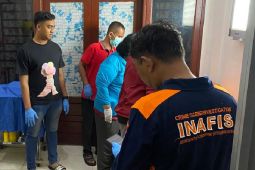 Kakak beradik tewas dalam kebakaran di Batubara