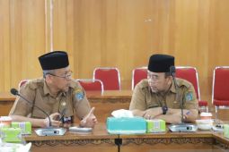 Sekda Tanjab Barat ikuti rakor pengendalian inflasi daerah