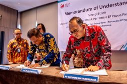 PLN siap pasok kebutuhan listrik Pertamina EP Papua