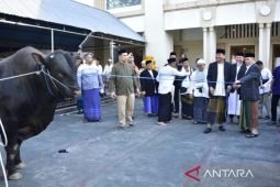 Gubernur Gorontalo serahkan sapi bantuan Presiden RI