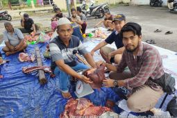 Belitung turunkan tim pantau pemotongan hewan kurban