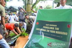 Kodam Pattimura sembelih 33 hewan kurban dibagikan ke  masyarakat