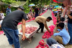 Manampuang, a unique way of distributing sacrificial meat in Agam