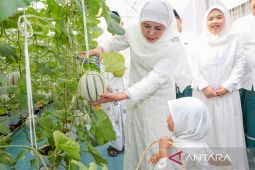 Khofifah: "Green House" MAS alternatif eduwisata liburan sekolah