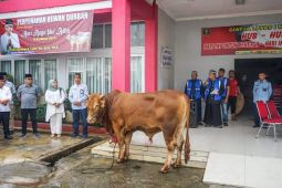 Lapas Kelas I Medan  sembelih 11 ekor hewan kurban