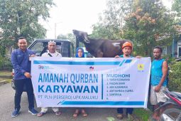 PLN UIW MMU salurkan hewan kurban di wilayah  kerja
