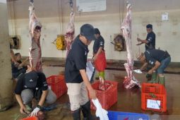 Jumlah penyembelihan kurban di RPH tahun 2023 turun