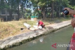 DLH Surabaya patroli cegah pembuangan "rumen" di sungai