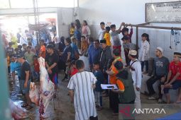 Wali Kota Sukabumi pantau proses penyembelihan hewan kurban