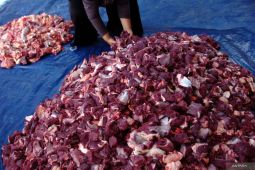 ini tips dan trik menyimpan daging kurban agar tahan lama