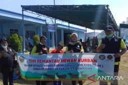 Disnak Bangkalan terjunkan tim pantau penyembelihan hewan kurban