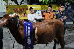 NasDem Jatim serahkan sapi kurban ke masjid dan pesantren