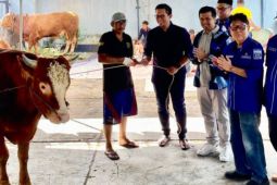 Kadin Surabaya: Idul Adha picu kebangkitan peternak lokal