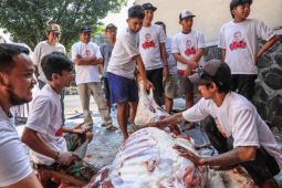 Idul Adha, relawan Orang Muda Ganjar Jatim bagikan daging kurban