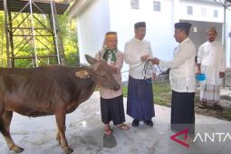 Bupati Bone Bolango: 1.245 hewan kurban disembelih pada Idul Adha