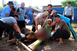 Sekda Seruyan harapkan Idul Adha semakin mempererat jalinan silaturahmi