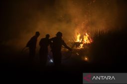 Karhutla di Kalsel capai 205,5 hektare