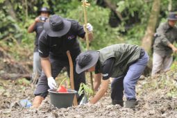 BRI tanam 2.500 bibit durian di Berau Kaltim