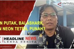 Cegah punah, Balai Benih Ikan Depok budidayakan ikan langka