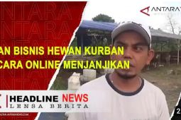 Cuan bisnis hewan kurban secara online menjanjikan