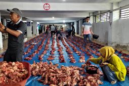 PLN UID Aceh potong 47 ekor sapi kurban