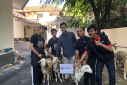 SiCepat Ekspres siap salurkan daging kurban ke empat wilayah