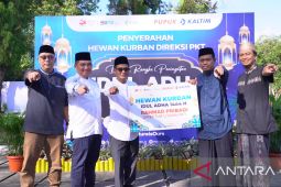 Pupuk Kaltim salurkan 146 hewan kurban untuk warga Bontang