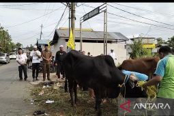 Anggota DPRD Kalsel bagikan 500 paket daging kurban