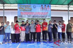 Pemkab Bangka sembelih 51 ekor sapi pada Idul Adha