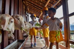 Mini agrowisata jadi destinasi edukasi favorit anak-anak Surabaya