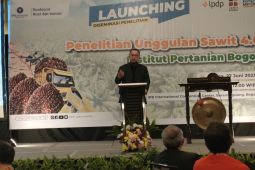 IPB buat sistem informasi kinerja rantai pasok kelapa sawit bernama SIPESAT