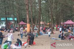 Ribuan wisatawan padati pantai Tikus Emas Bangka