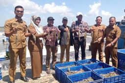 Pj Bupati Aceh Timur ajak masyarakat budi daya udang sistem aquakultur