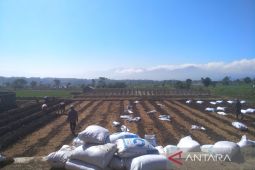 Pemkab Garut ingatkan petani tidak tanam padi saat kemarau